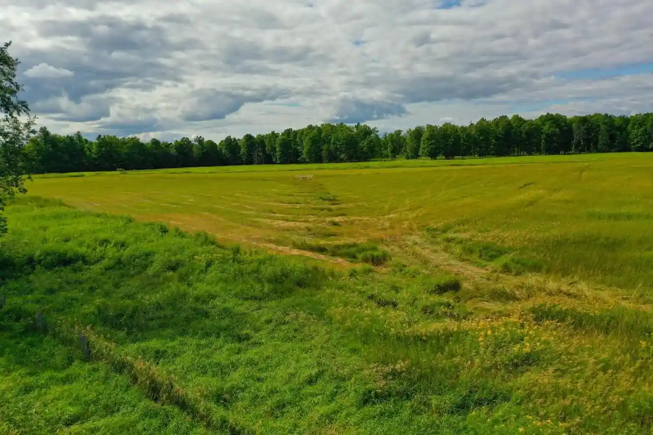 image of 2934 Acres State Hwy 55, Pickerel, WI 54465 | MLS# 22603773