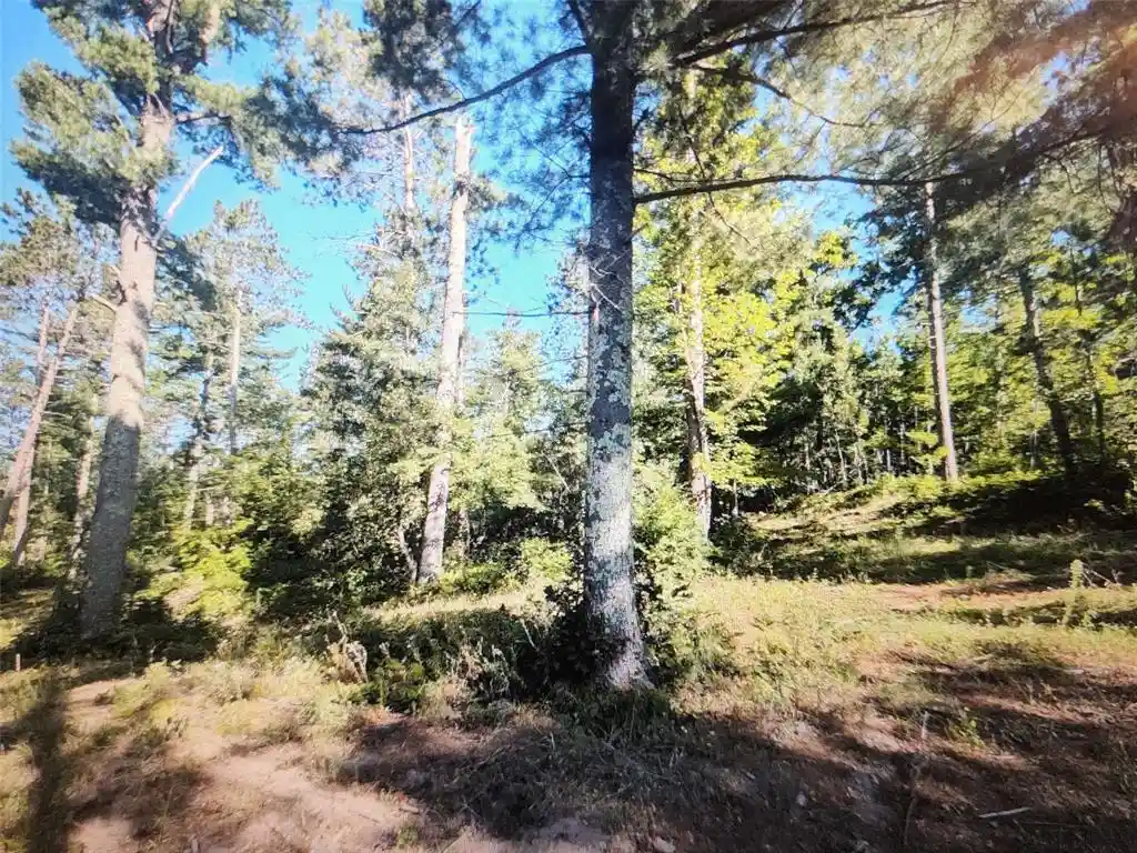2nd image of 3380 W Us Hwy 63, Springbrook, WI 54875 | MLS# 1603916