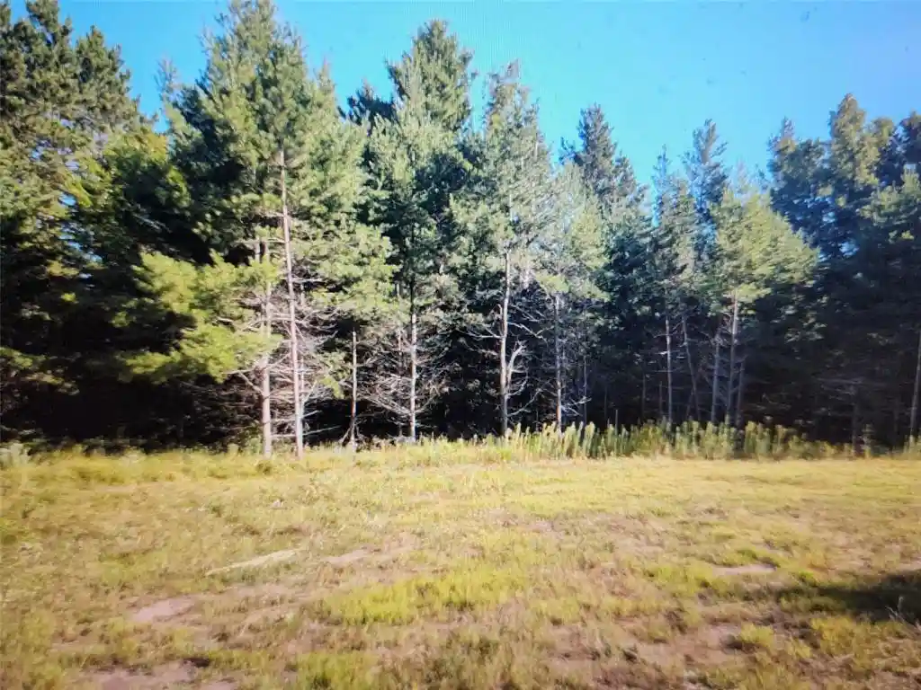 3rd image of 3380 W Us-Hwy 63, Springbrook, WI 54875 | MLS# 1603916