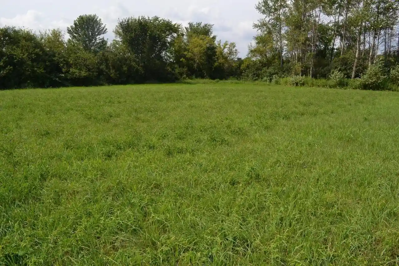 10th image of 108 W Main Street Street, Camp Douglas, WI 54618 | MLS# 2029785
