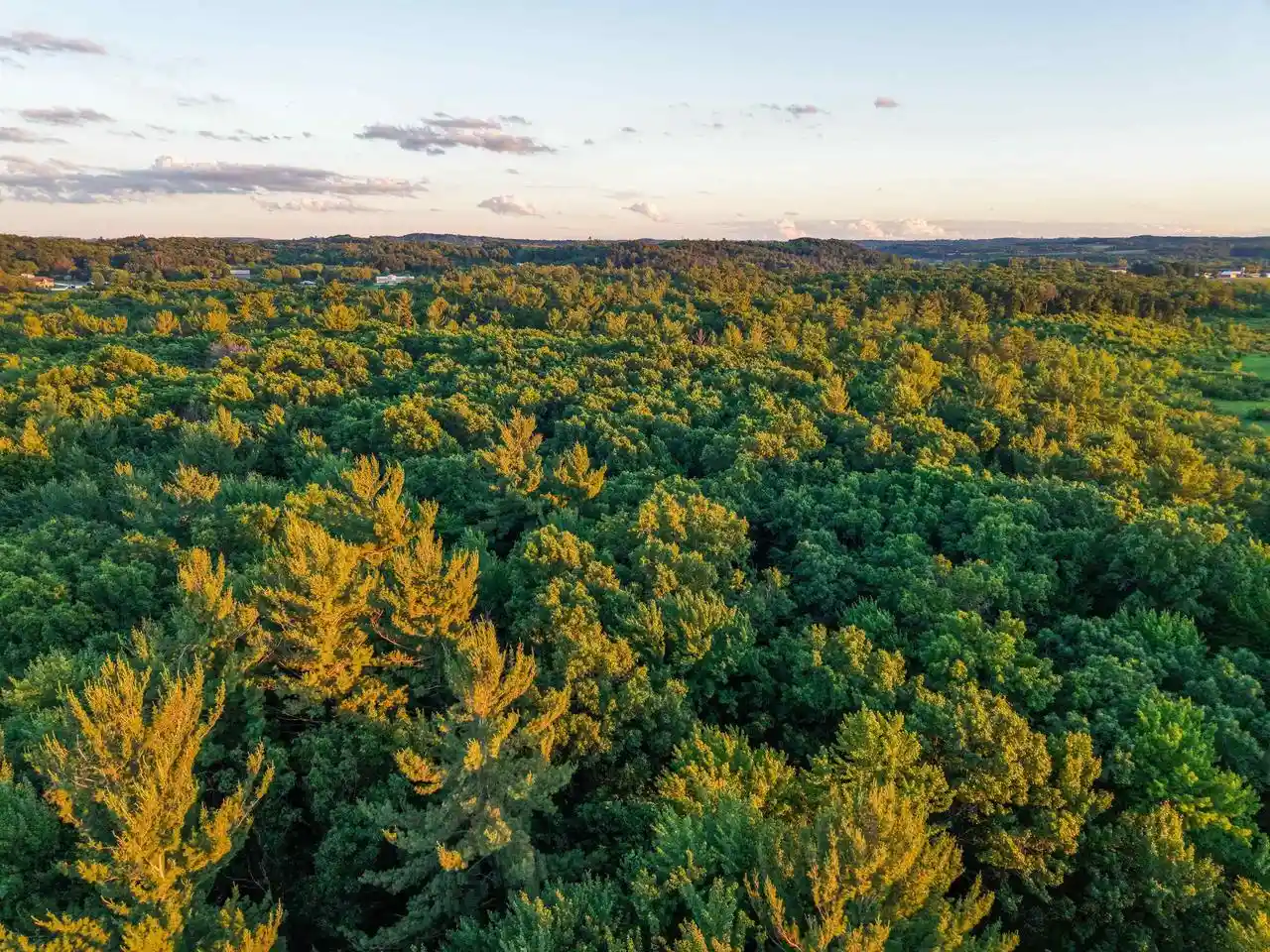 2nd image of 000 County Hwy Cm, Tomah, WI 54660 | MLS# 2029812