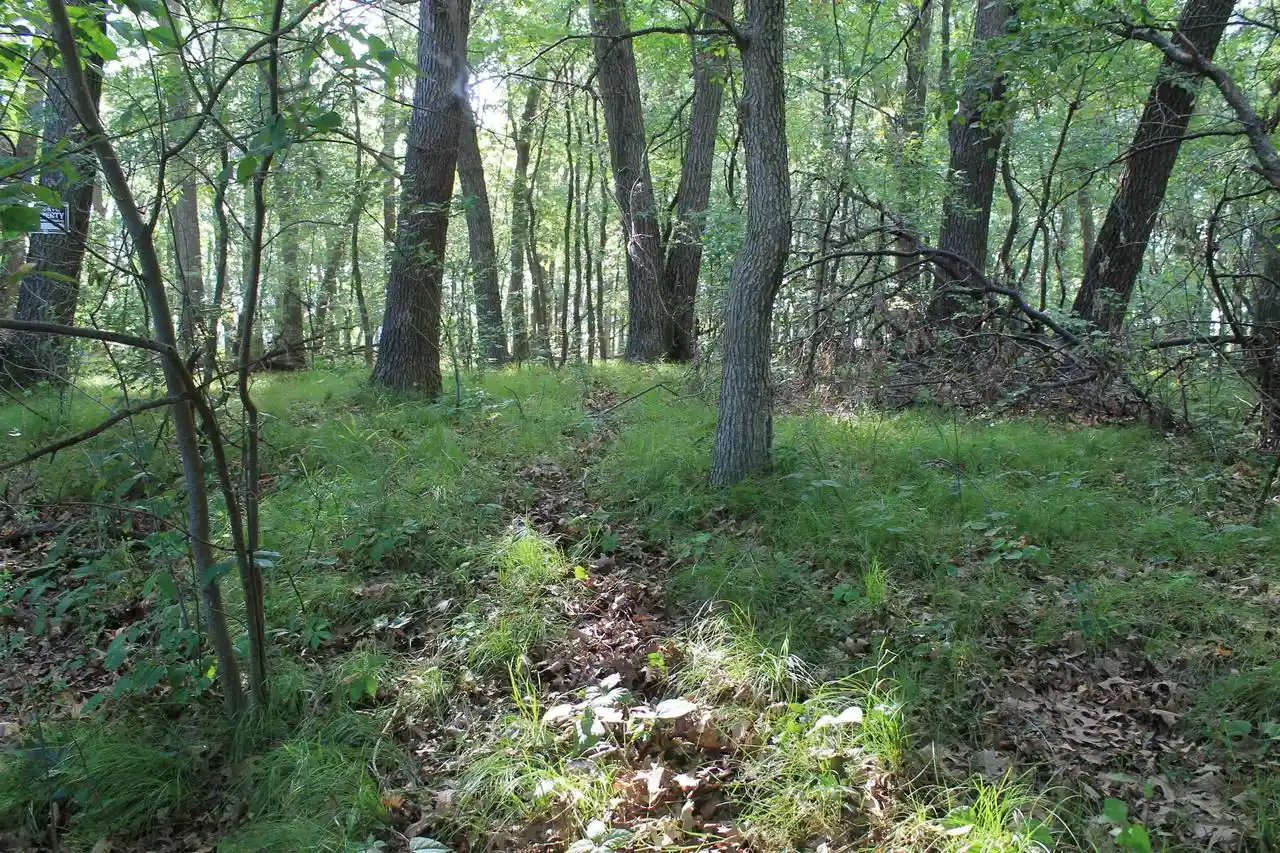 Photo 3 of Land for sale at 34Th Road Road, Berlin, WI 54923 | MLS# 50330491 | Listing updated on 2026-10-02