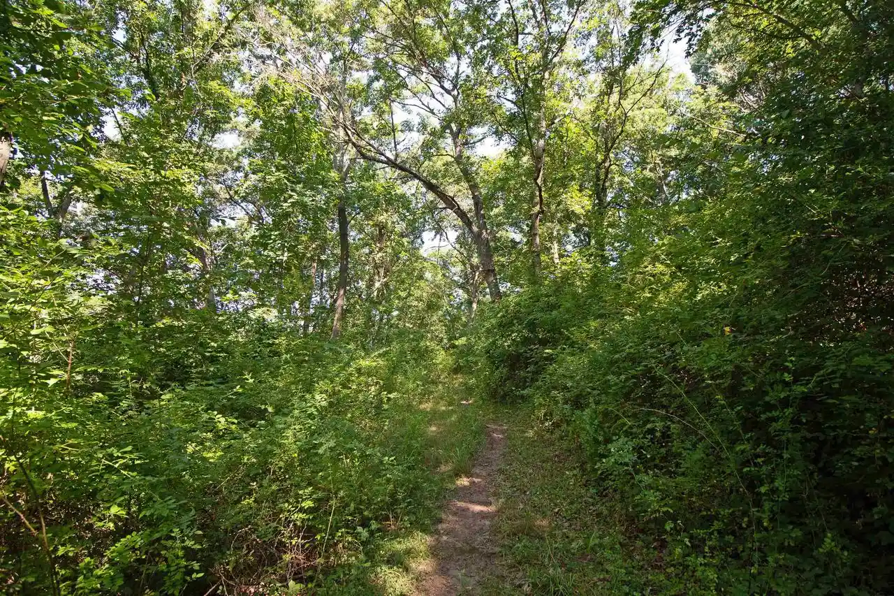 2nd image of 40 Acres County Hwy H, Ridgeway, WI 53582 | MLS# 2029816