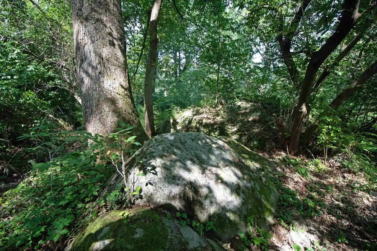 4th image of 40 Acres County Hwy H, Ridgeway, WI 53582 | MLS# 2029816