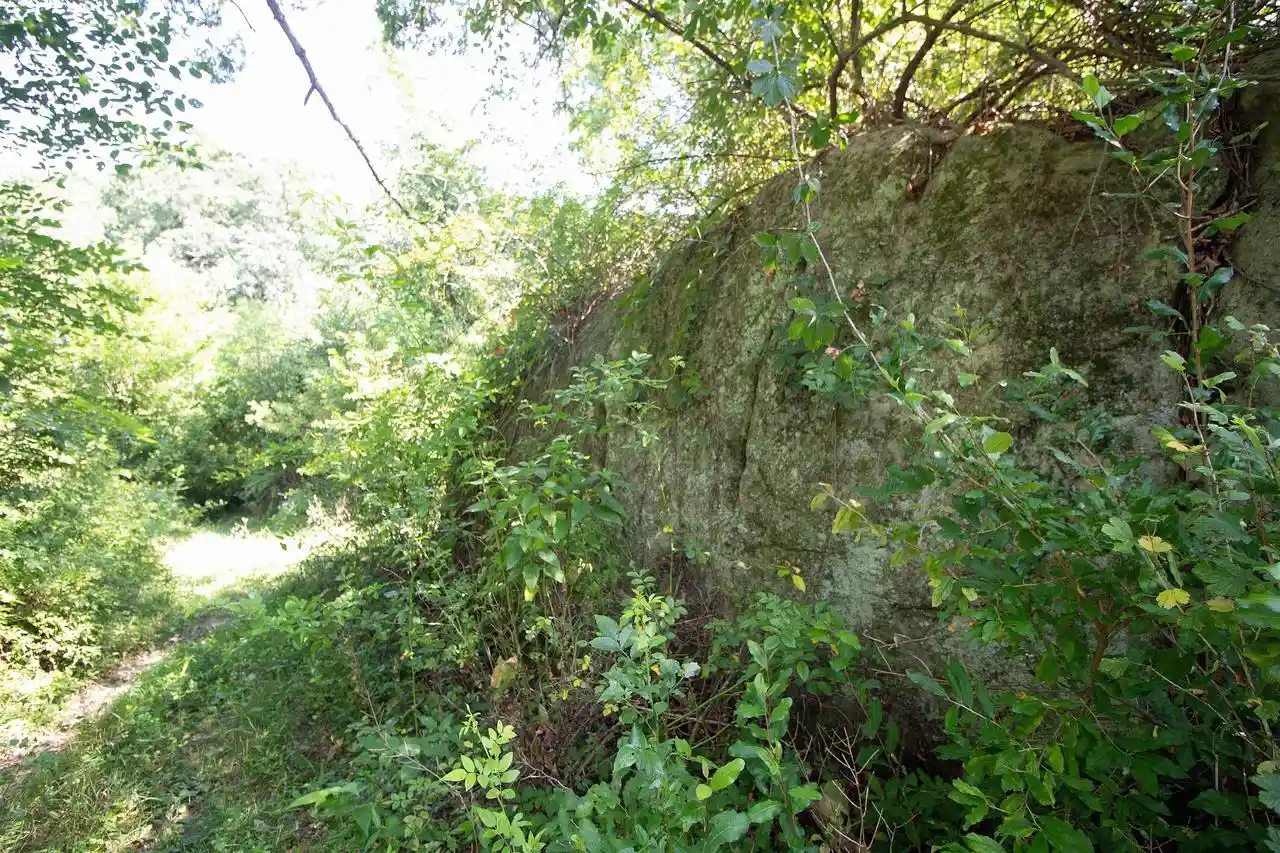 5th image of 40 Acres County Hwy H, Ridgeway, WI 53582 | MLS# 2029816