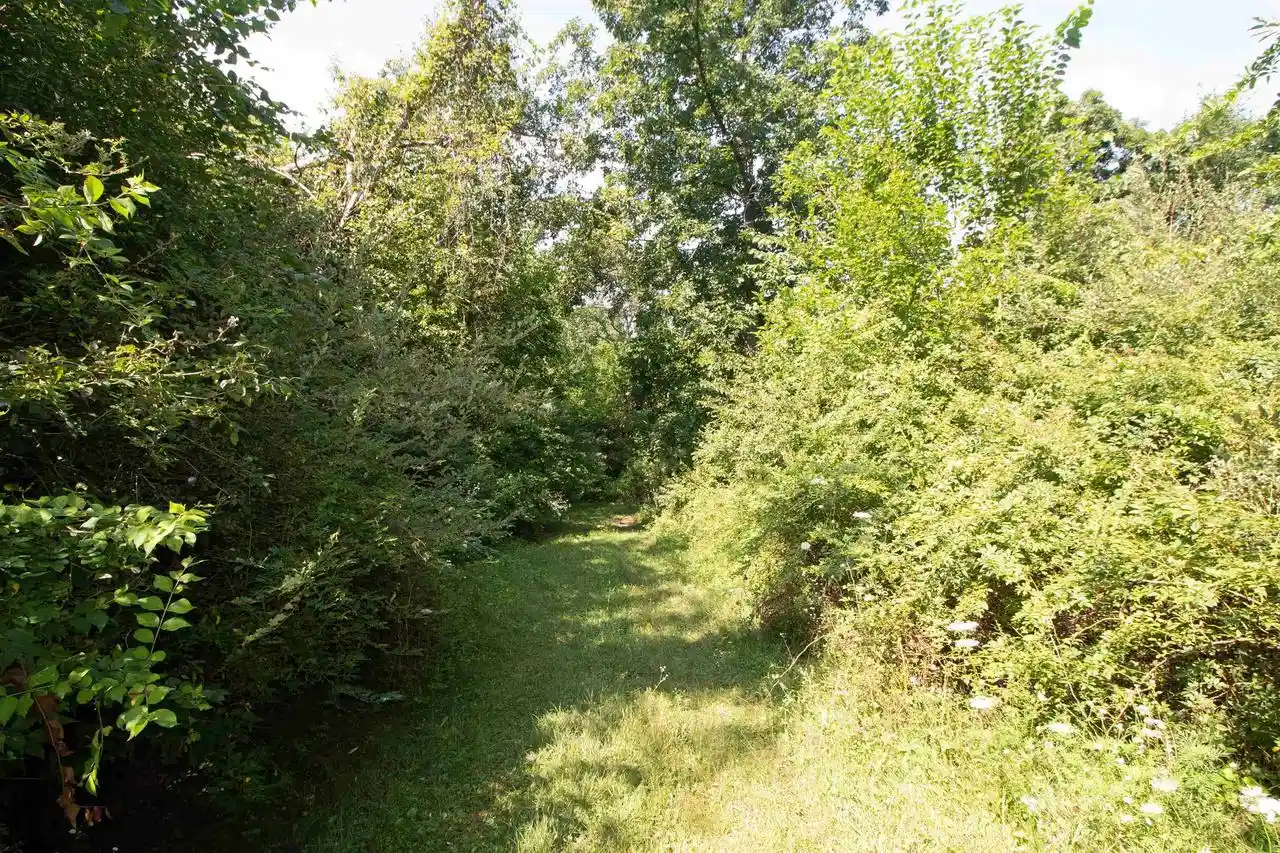 27th image of 40 Acres County Hwy H, Ridgeway, WI 53582 | MLS# 2029816