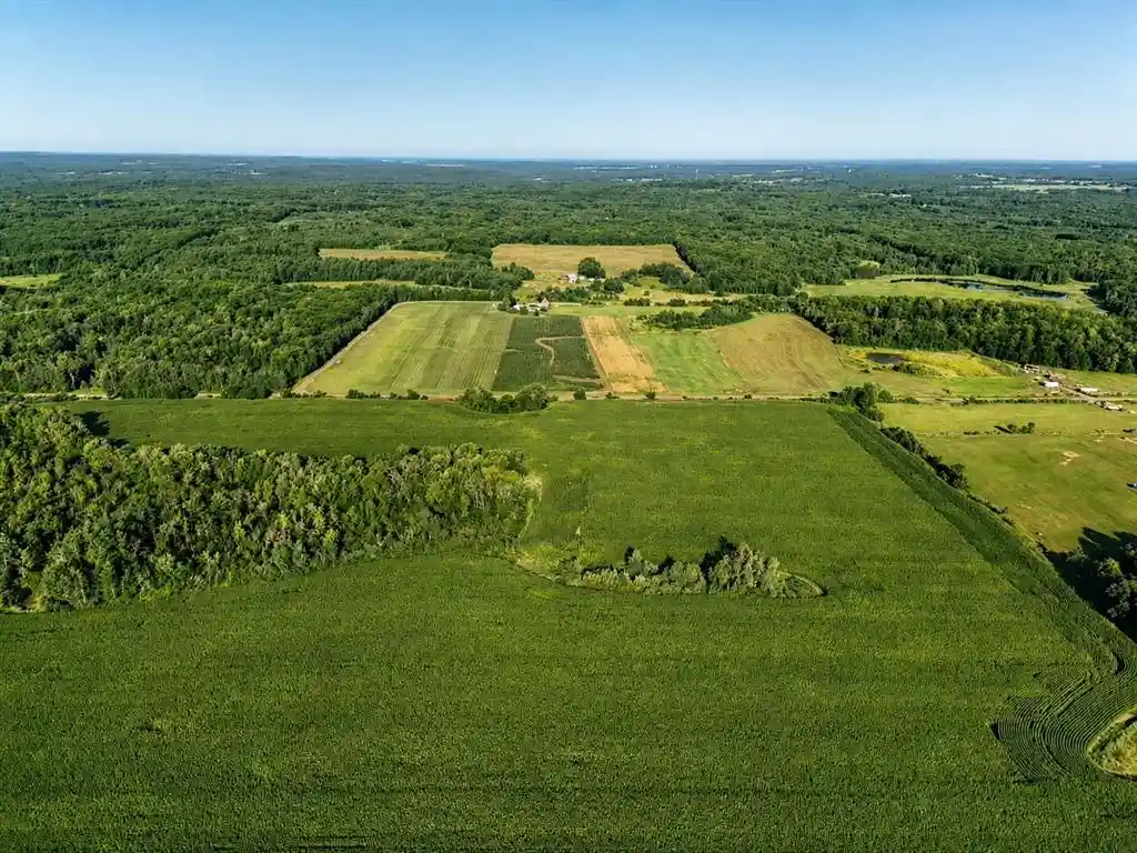 Photo 2 of Land for sale at 00 110th Street Street, Frederic, WI 54837 | MLS# 1603850 | Listing updated on 2026-08-06