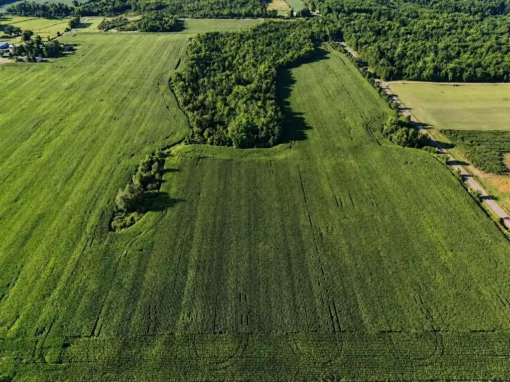Photo 2 of Land for sale at 00 110Th Street Street, Frederic, WI 54837 | MLS# 1603850 | Listing updated on 2026-08-06