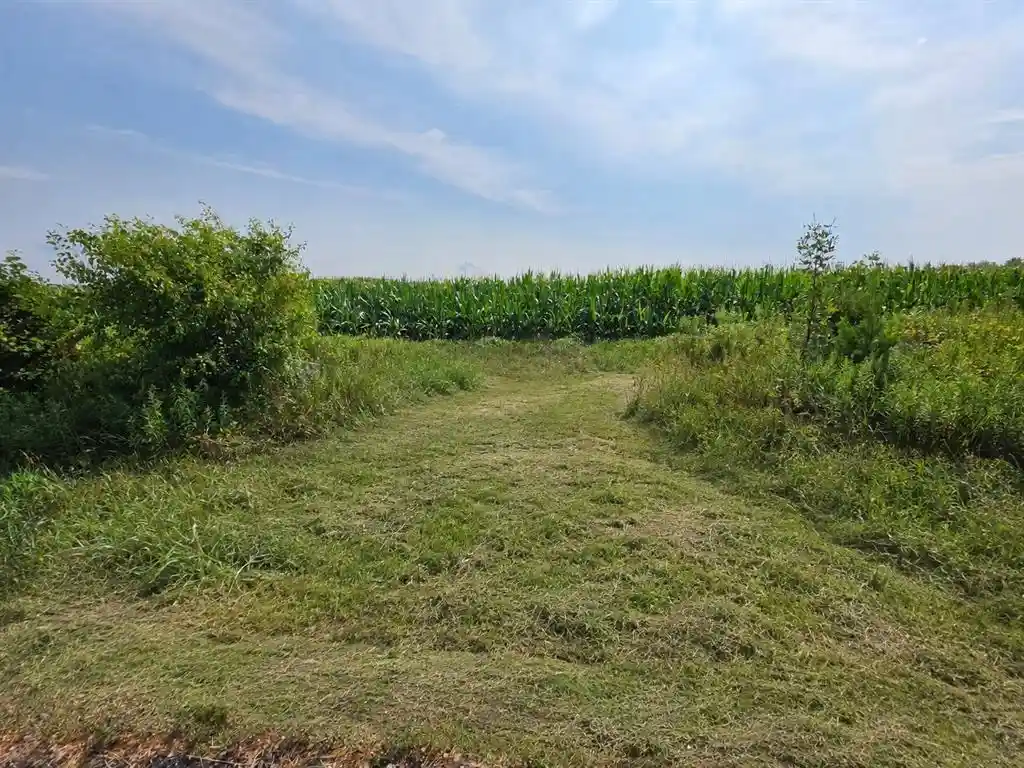Photo 3 of Land for sale at 00 110Th Street Street, Frederic, WI 54837 | MLS# 1603850 | Listing updated on 2026-08-06