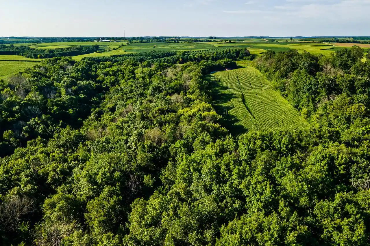 1st image of Lt1 County Hwy Nn, Cazenovia, WI 53924 | MLS# 1975028