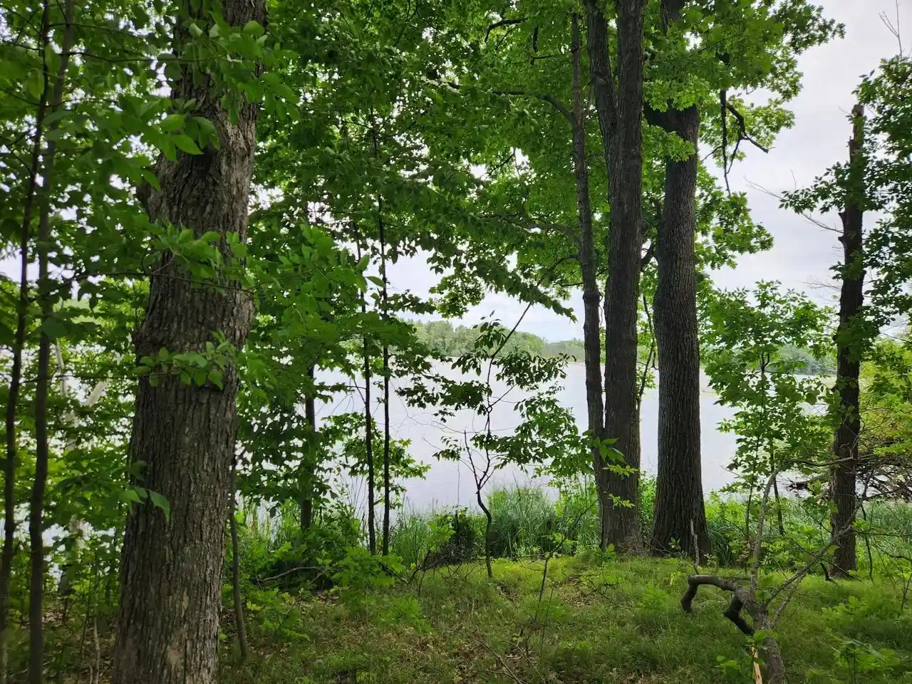 Photo 3 of Land for sale at On Yenter Lane Lane, Wittenberg, WI 54499 | MLS# 22603794 | Listing updated on 2026-08-21