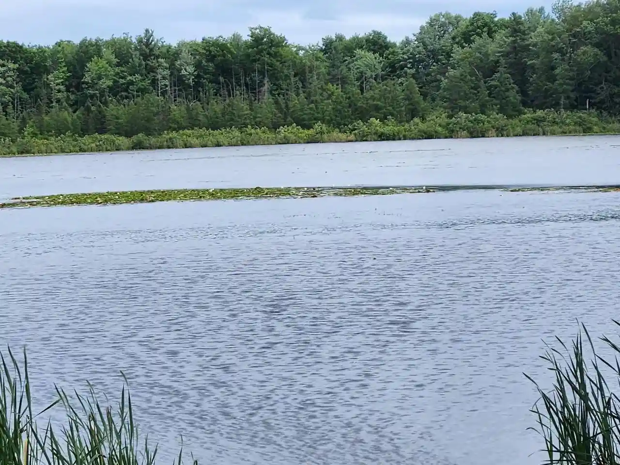 Photo 4 of Land for sale at On Yenter Lane Lane, Wittenberg, WI 54499 | MLS# 22603794 | Listing updated on 2026-08-21