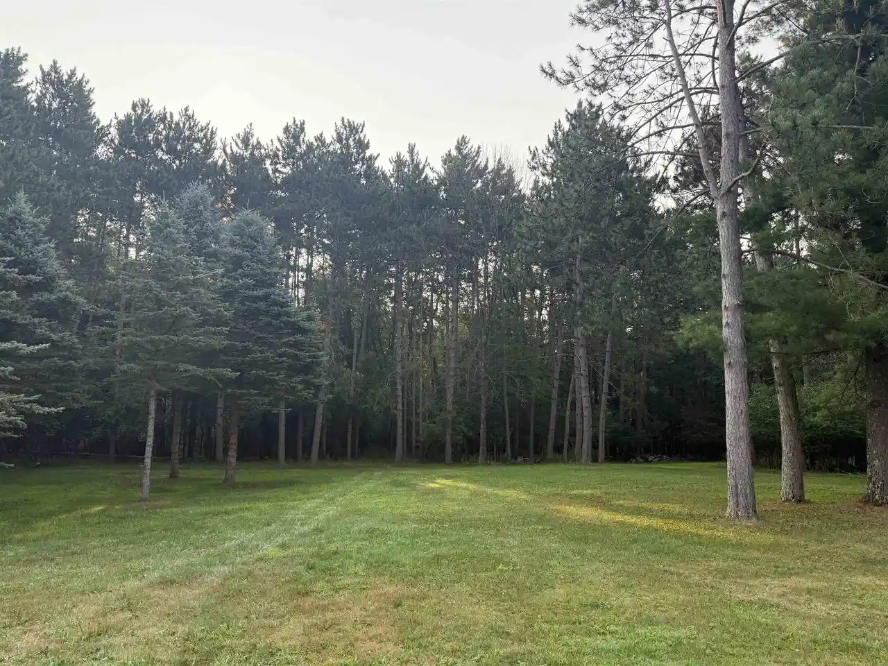 5th image of N7734 County Road J, Iola, WI 54945 | MLS# 22603802