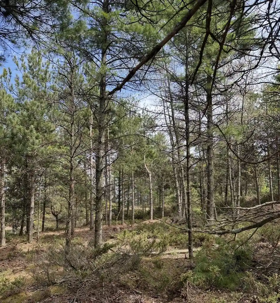 3rd image of Lot 3 Sandy Bay Road Road, Two Rivers, WI 54241 | MLS# 1975134