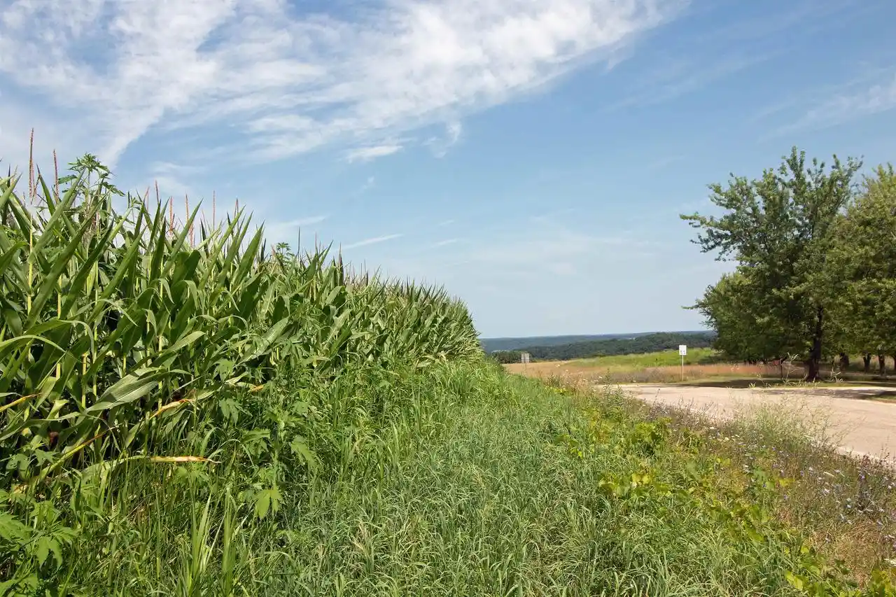 1st image of 132 Acres County Hwy H, Ridgeway, WI 53582 | MLS# 2029911