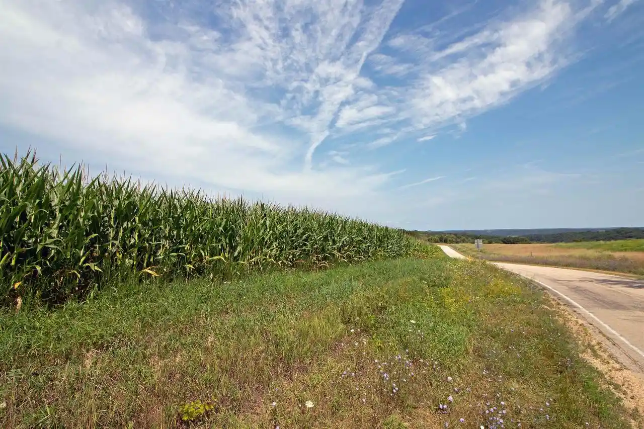 3rd image of 132 Acres County Hwy H, Ridgeway, WI 53582 | MLS# 2029911