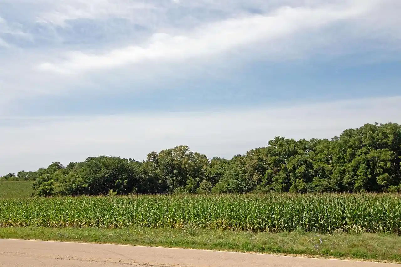 5th image of 132 Acres County Hwy H, Ridgeway, WI 53582 | MLS# 2029911