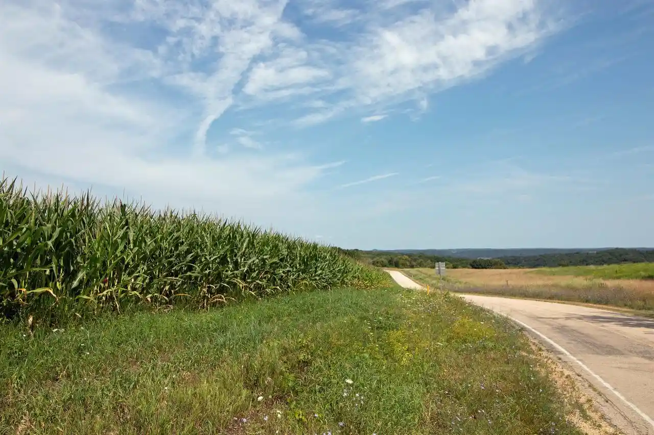10th image of 132 Acres County Hwy H, Ridgeway, WI 53582 | MLS# 2029911