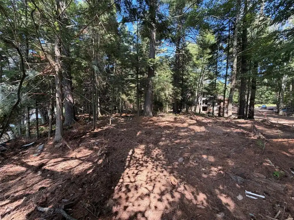 3rd image of 6856W Wolf Island Dr Dr, Hayward, WI 54843 | MLS# 1603968