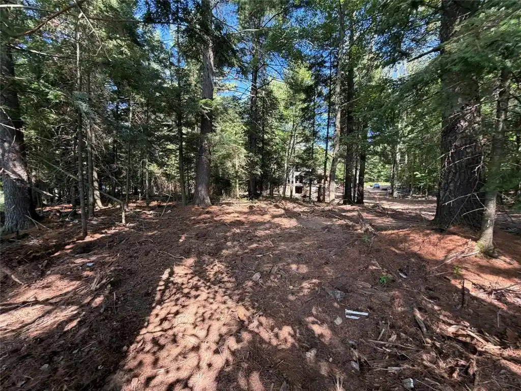 4th image of 6856W Wolf Island Dr Dr, Hayward, WI 54843 | MLS# 1603968