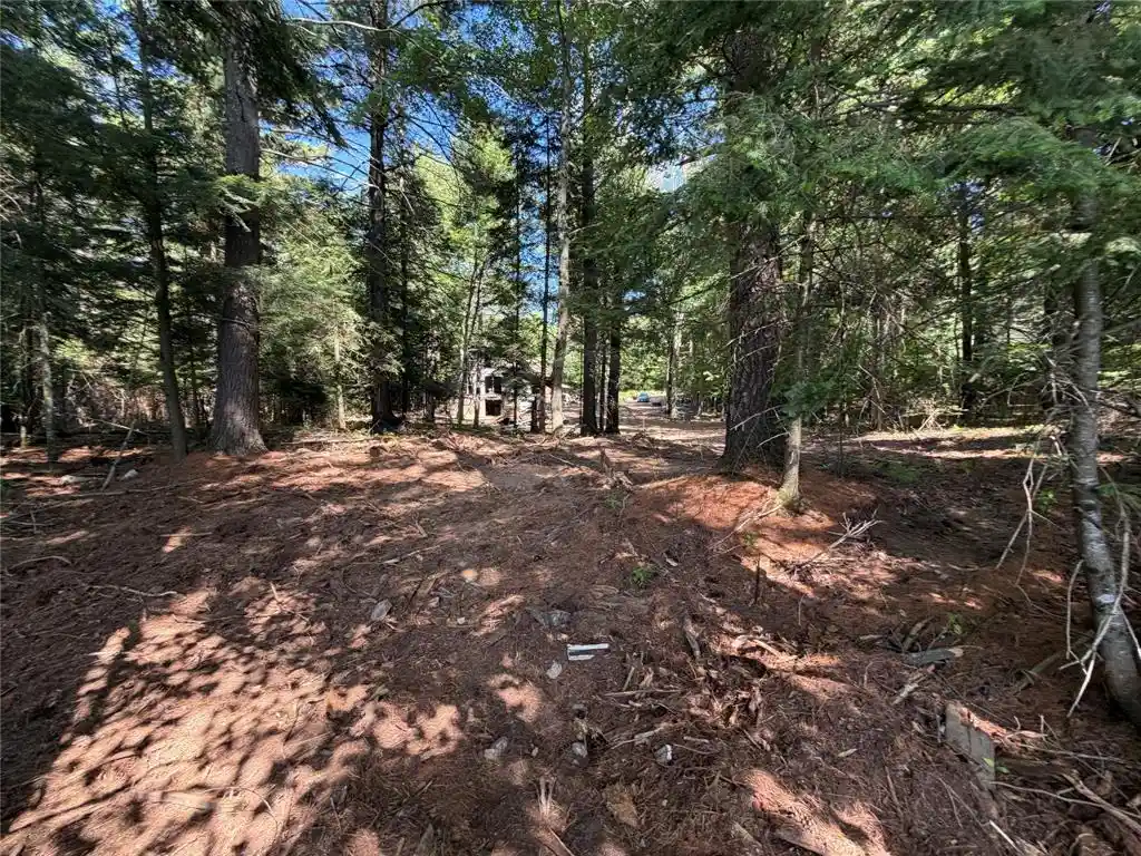5th image of 6856W Wolf Island Dr Dr, Hayward, WI 54843 | MLS# 1603968