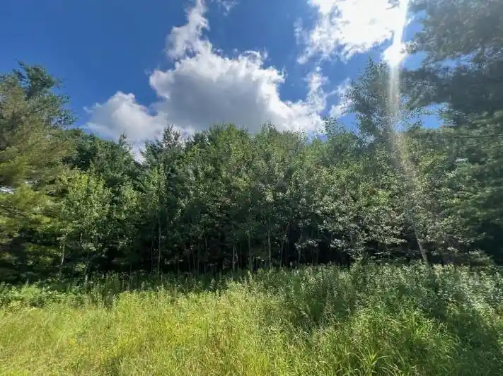 Photo 3 of Land for sale at 00000 Lily Lake Inn Road Road, Webster, WI 54893 | MLS# 1603731 | Listing updated on 2026-08-07