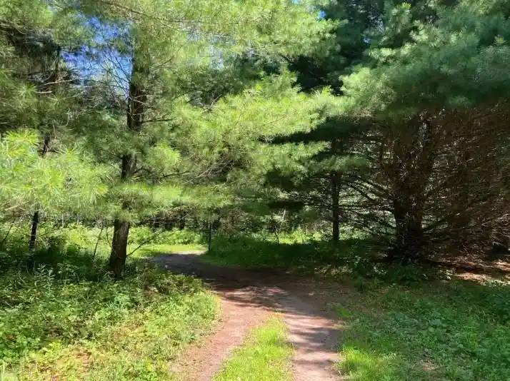Photo 4 of Land for sale at 00000 Lily Lake Inn Road Road, Webster, WI 54893 | MLS# 1603731 | Listing updated on 2026-08-07