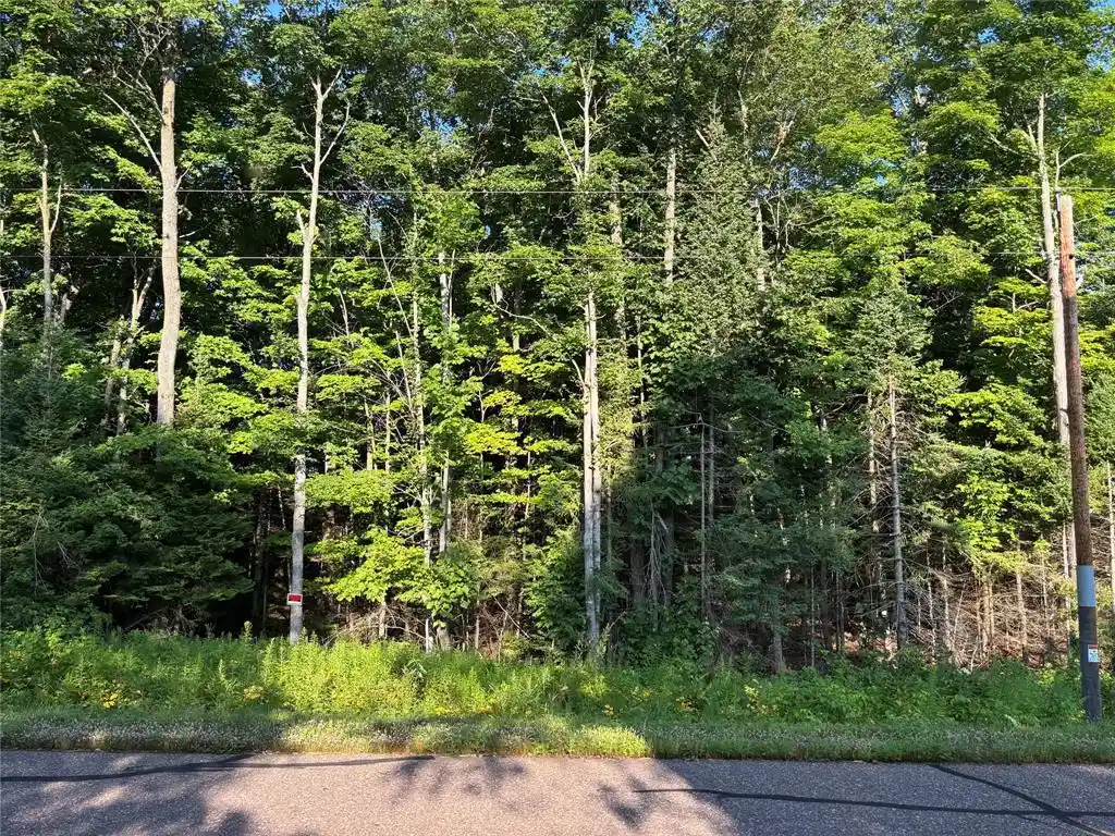 Photo 1 of Land for sale at Xx North Irish Rd, Exeland, WI 54835 | MLS# 1603966 | Listing updated on 2026-08-10