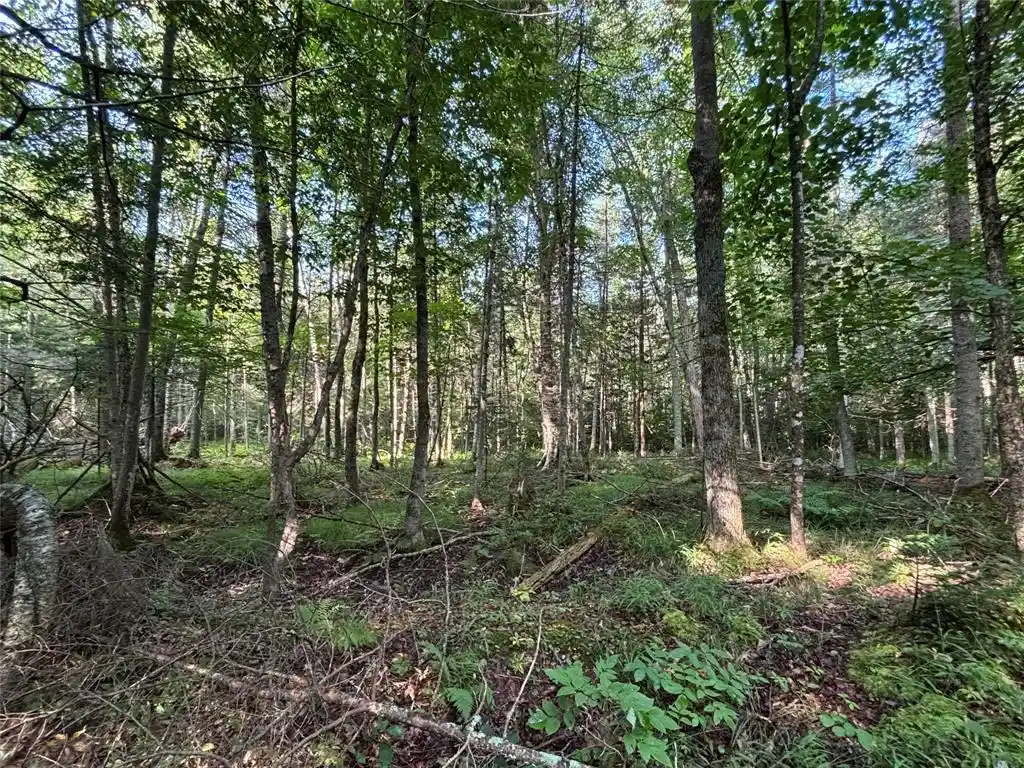 Photo 2 of Land for sale at Xx North Irish Rd, Exeland, WI 54835 | MLS# 1603966 | Listing updated on 2026-08-10