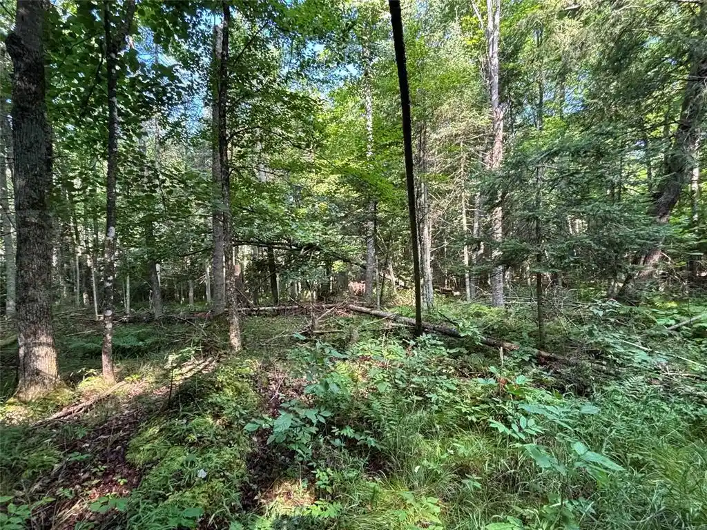 Photo 3 of Land for sale at Xx North Irish Rd, Exeland, WI 54835 | MLS# 1603966 | Listing updated on 2026-08-10