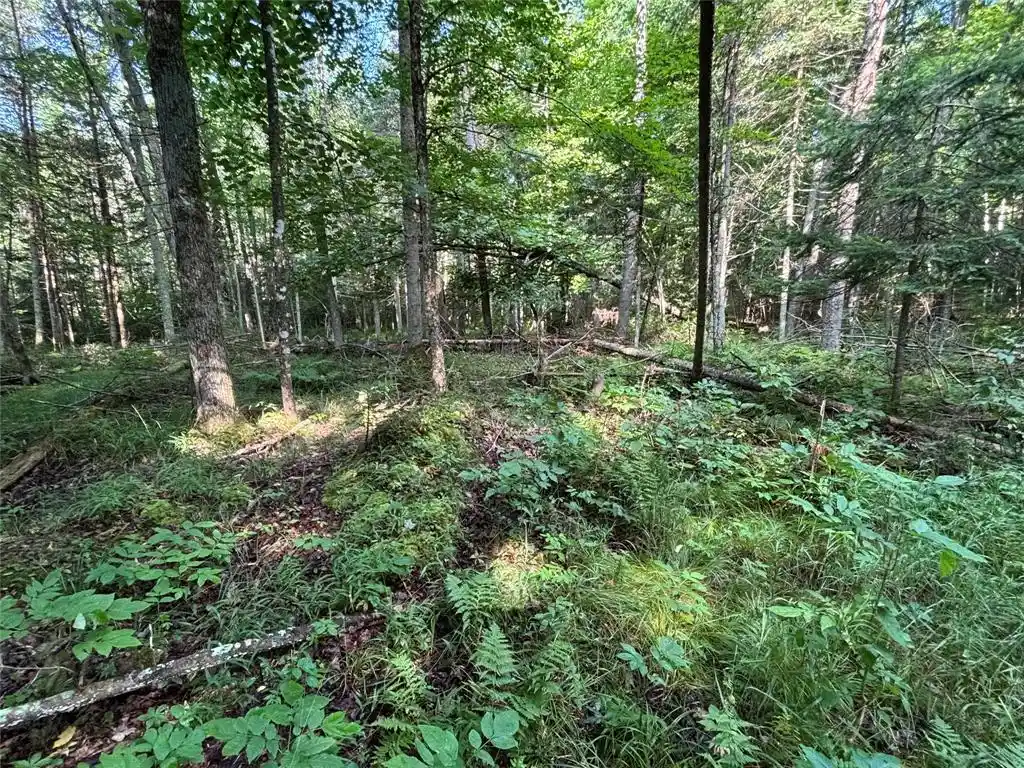 Photo 10 of Land for sale at Xx North Irish Rd, Exeland, WI 54835 | MLS# 1603966 | Listing updated on 2026-08-10