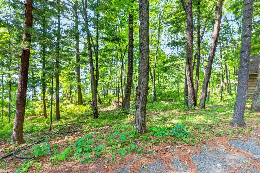 Photo 3 of Land for sale at Xxxx Lone Trail Lane, Spooner, WI 54801 | MLS# 1604024 | Listing updated on 2026-09-11
