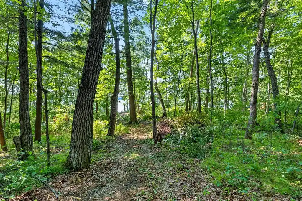 Photo 3 of Land for sale at Xxxx Lone Trail Lane, Spooner, WI 54801 | MLS# 1604024 | Listing updated on 2026-09-25