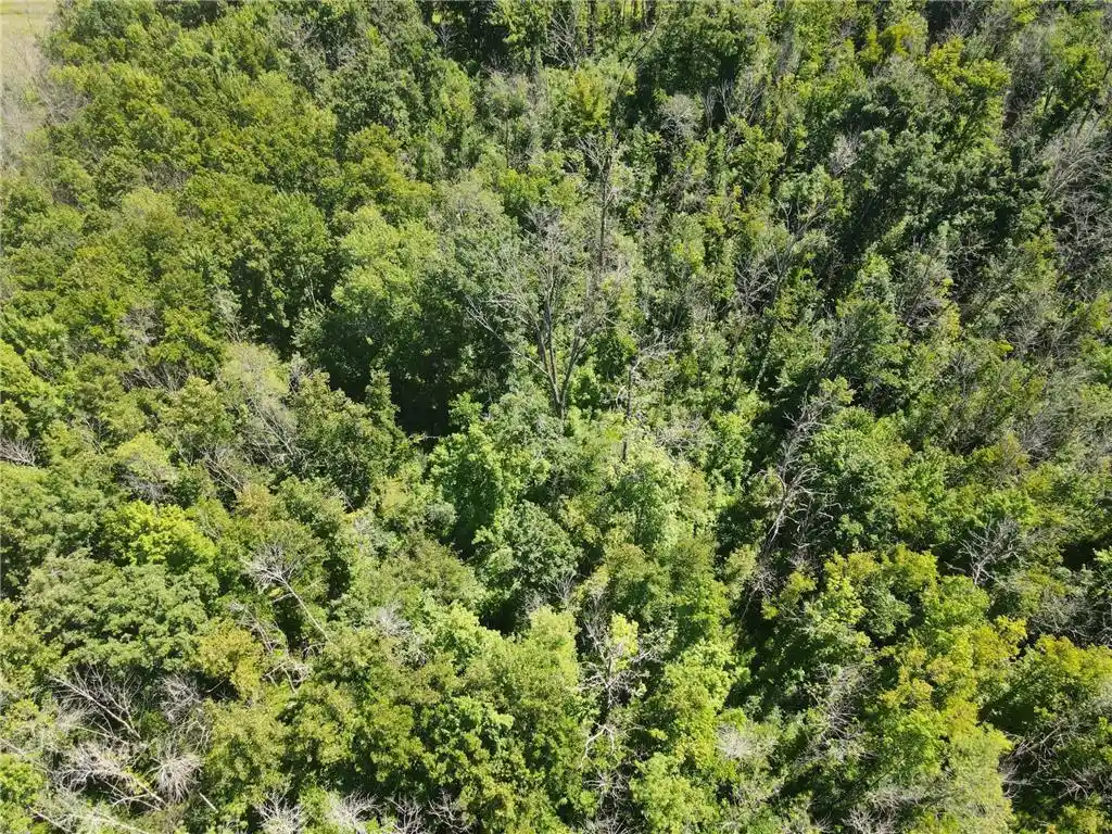 Photo 2 of Land for sale at Lot 1 County Road Bb, Woodville, WI 54028 | MLS# 7123752 | Listing updated on 2026-09-17