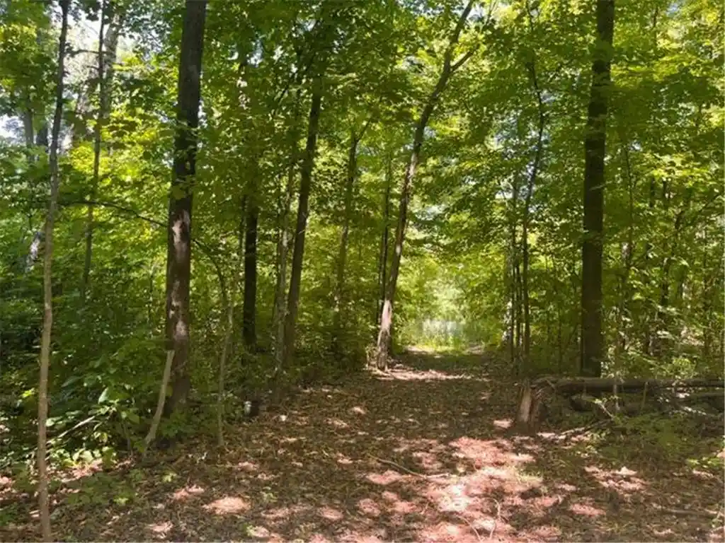 Land for sale at Lot 2 County Rd Bb, Woodville, WI 54028 | MLS# 7123758