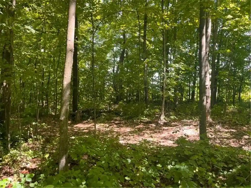 Photo 2 of Land for sale at Lot 2 County Rd Bb, Woodville, WI 54028 | MLS# 7123758 | Listing updated on 2026-09-11