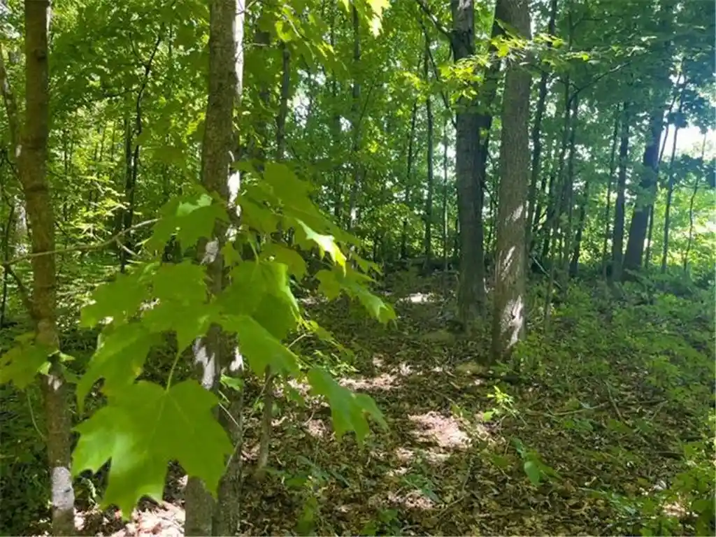 Photo 3 of Land for sale at Lot 2 County Rd Bb, Woodville, WI 54028 | MLS# 7123758 | Listing updated on 2026-09-11