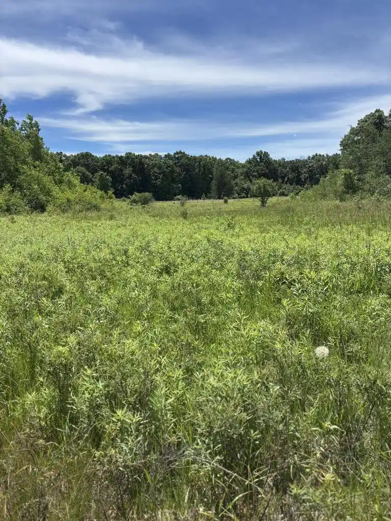 1st image of 0 Grapevine Avenue Avenue, Tomah, WI 54660 | MLS# 1975430