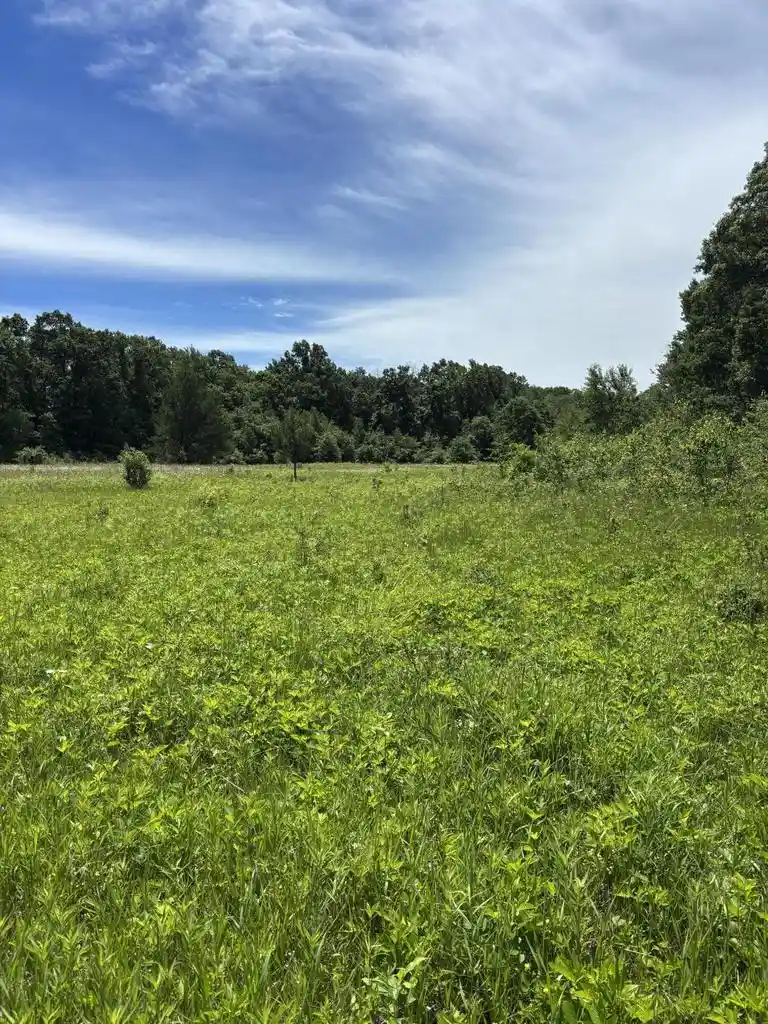 3rd image of 0 Grapevine Avenue Avenue, Tomah, WI 54660 | MLS# 1975430