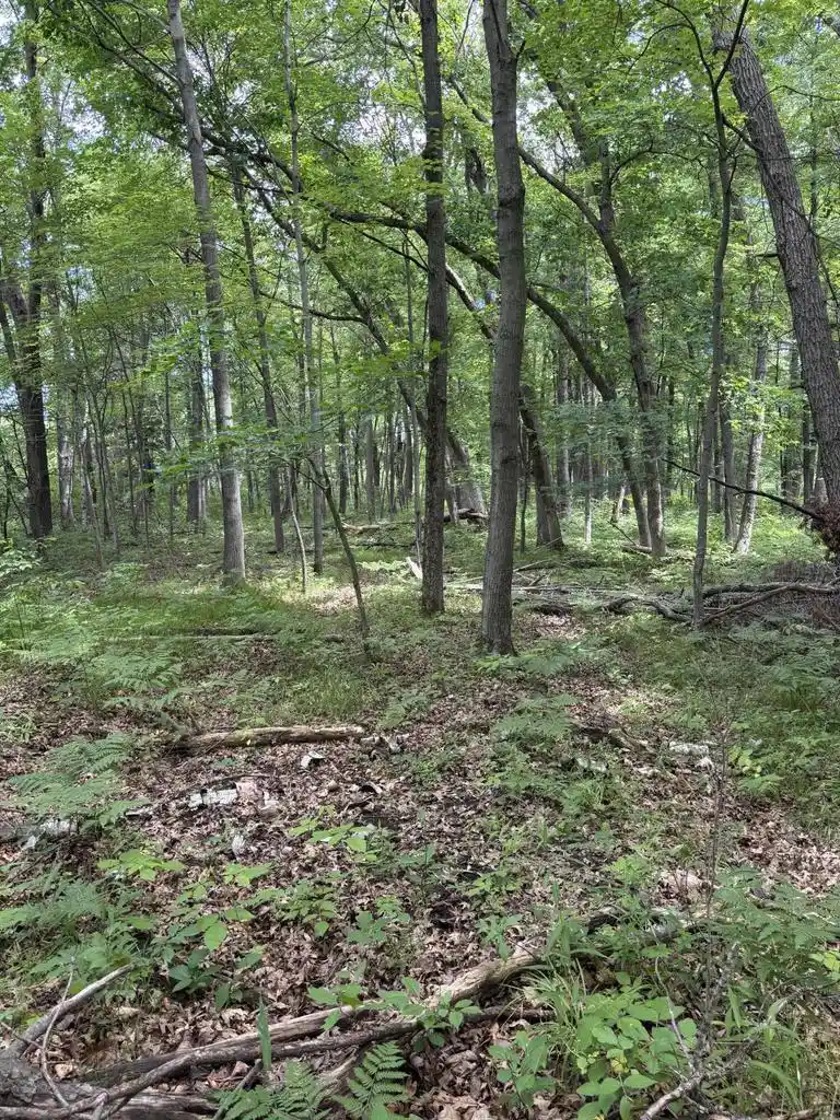 4th image of 0 Grapevine Avenue Avenue, Tomah, WI 54660 | MLS# 1975430
