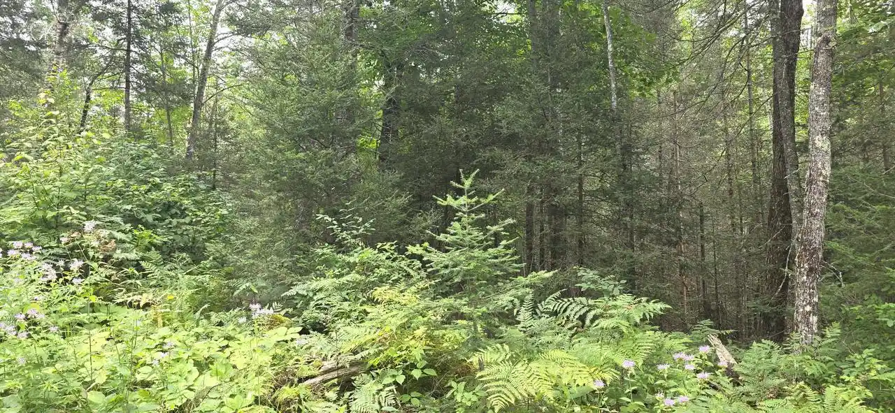 3rd image of 0000 Loon Lake Road Road, Florence, WI 54121 | MLS# 1975482