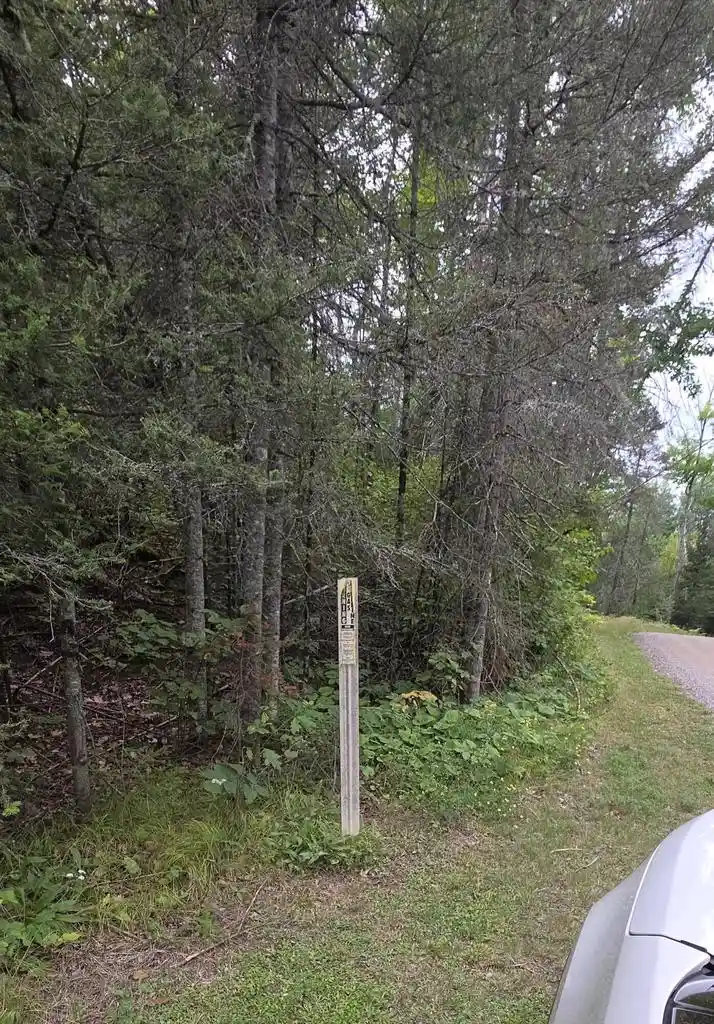 41st image of 0000 Loon Lake Road Road, Florence, WI 54121 | MLS# 1975482