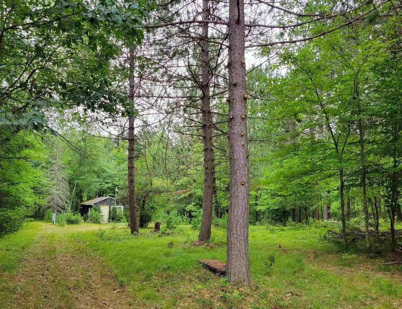 3rd image of W13143 Parkway Road Road, Athelstane, WI 54104 | MLS# 50330670