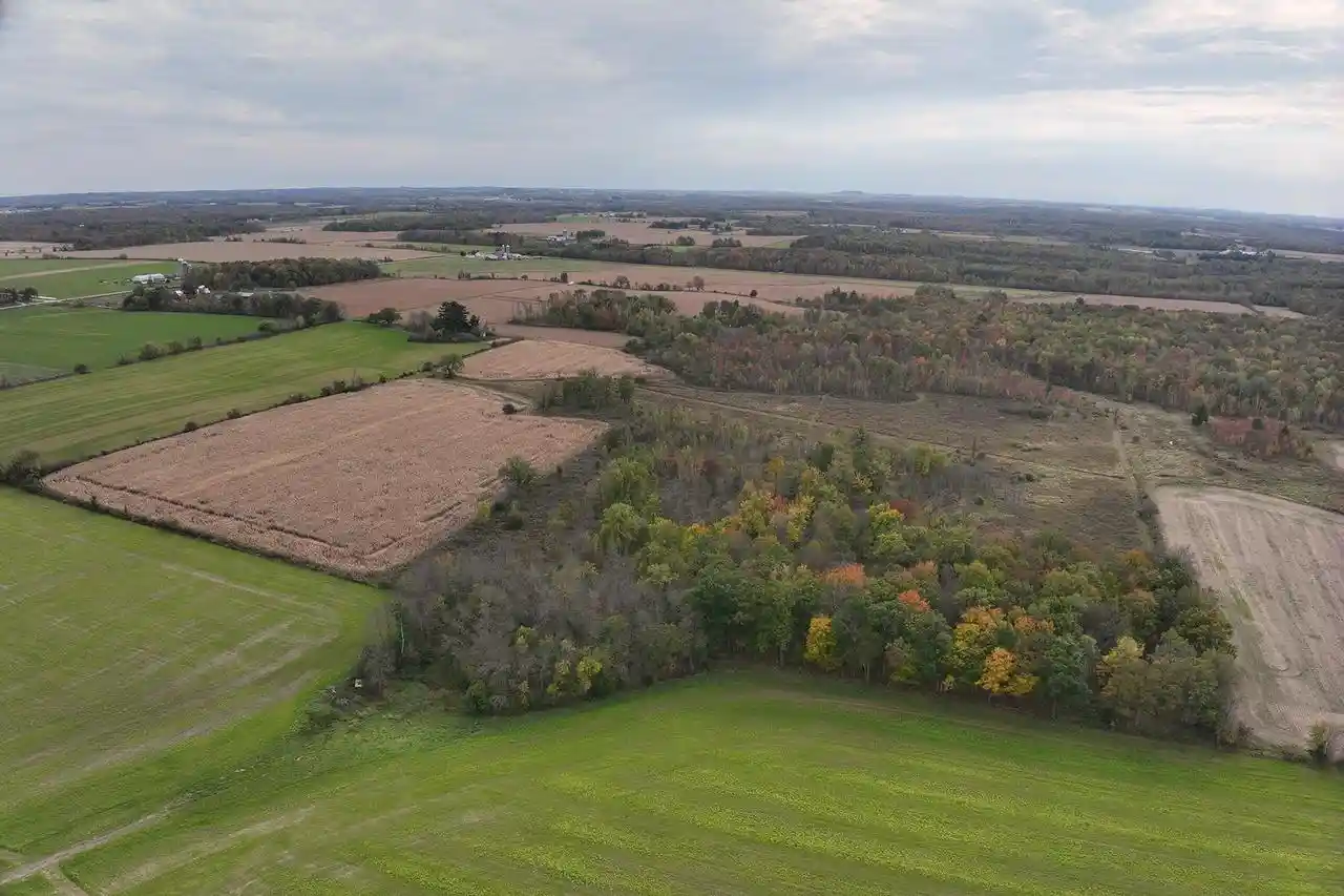 Photo 3 of Land for sale at 42610 Acres County Road O, Greenwood, WI 54437 | MLS# 22603833 | Listing updated on 2026-08-10