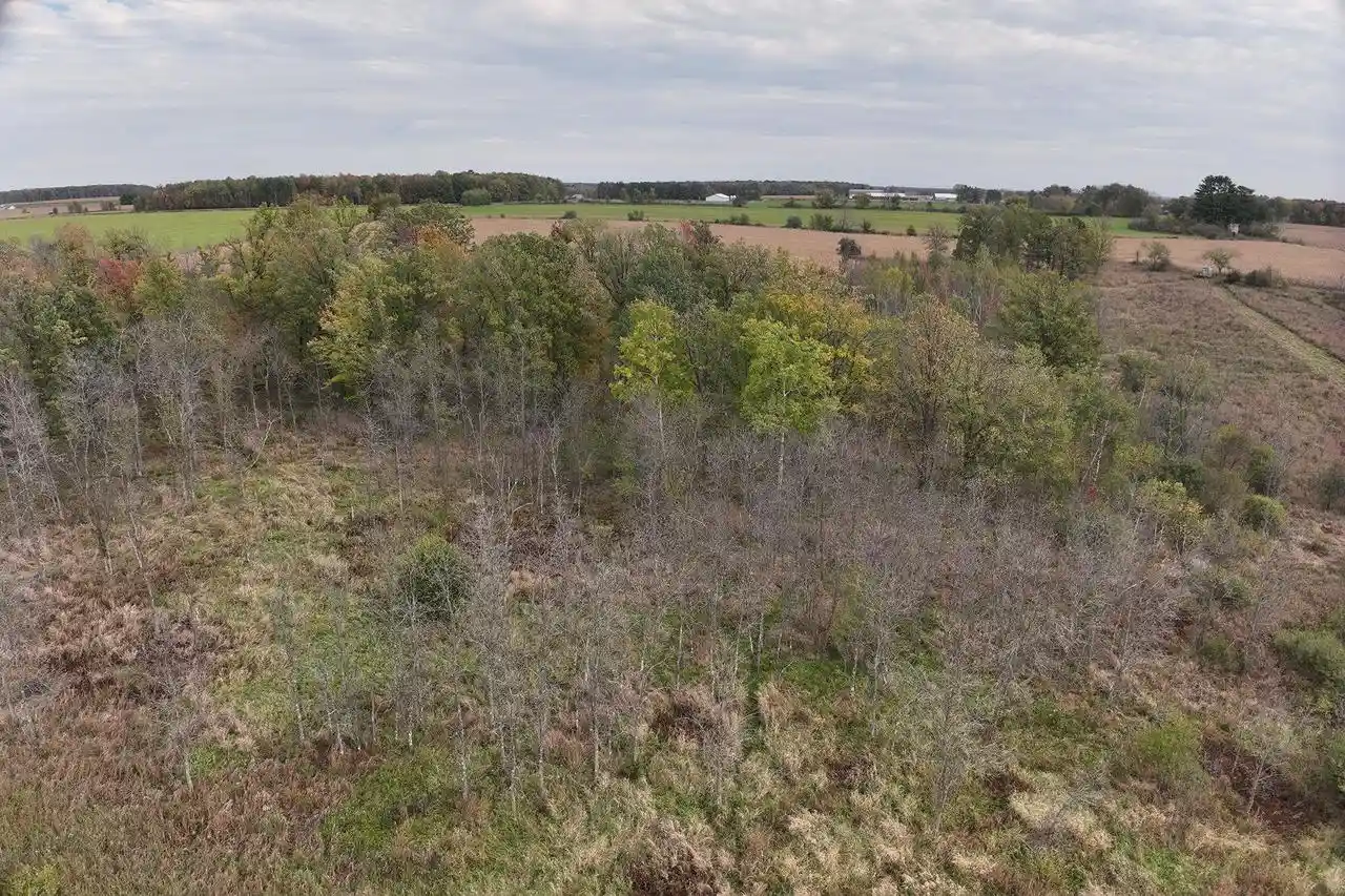 Photo 3 of Land for sale at 42610 Acres County Road O, Greenwood, WI 54437 | MLS# 22603833 | Listing updated on 2026-08-10