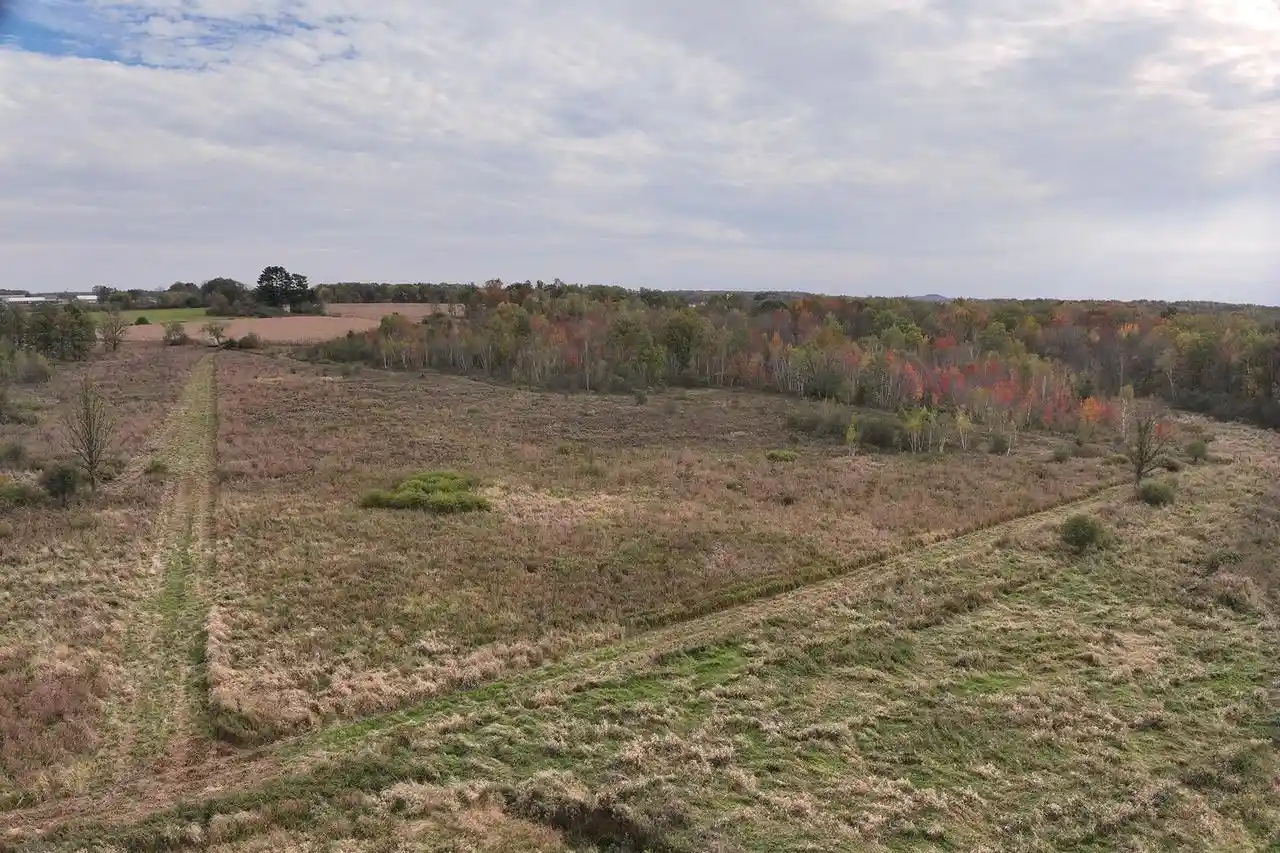 Photo 4 of Land for sale at 42610 Acres County Road O, Greenwood, WI 54437 | MLS# 22603833 | Listing updated on 2026-08-10