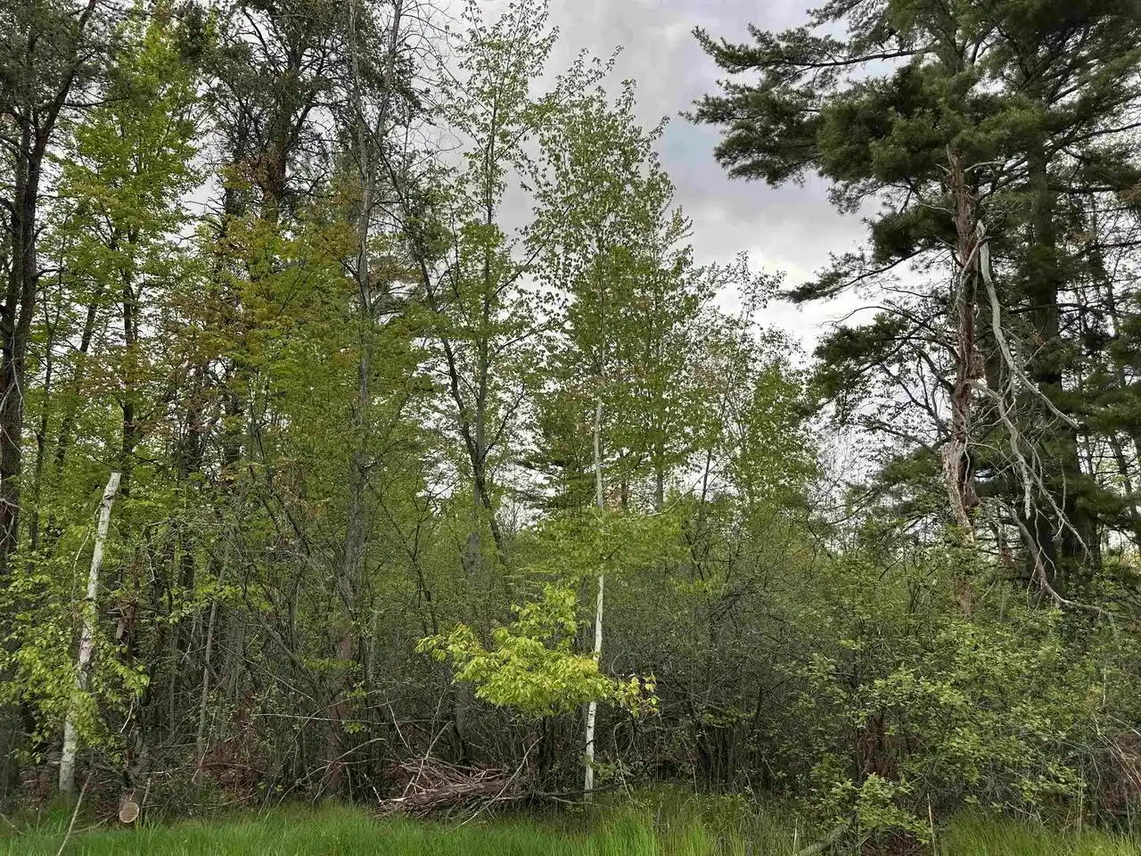 2nd image of Mcgraw Street Street, Peshtigo, WI 54157 | MLS# 50330719