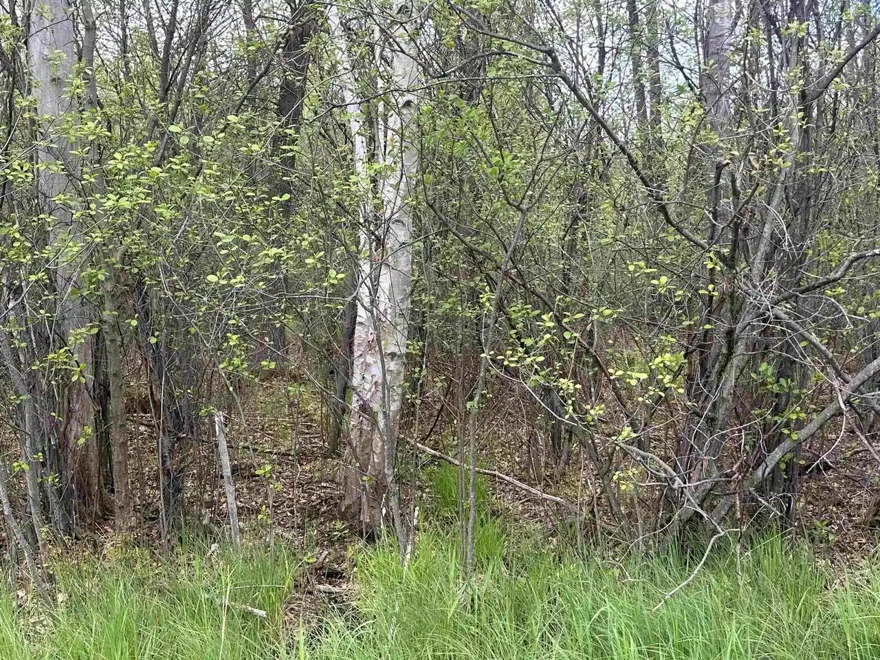 Photo 3 of Land for sale at Mcgraw Street Street, Peshtigo, WI 54157 | MLS# 50330719 | Listing updated on 2026-08-10