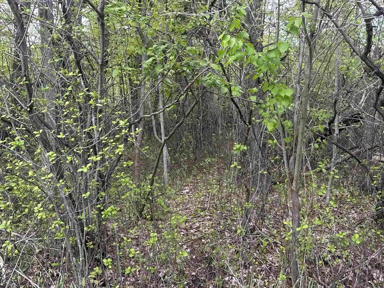 Photo 4 of Land for sale at Mcgraw Street Street, Peshtigo, WI 54157 | MLS# 50330719 | Listing updated on 2026-08-10