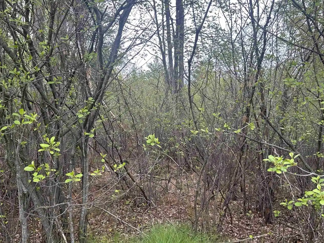 7th image of Mcgraw Street Street, Peshtigo, WI 54157 | MLS# 50330719